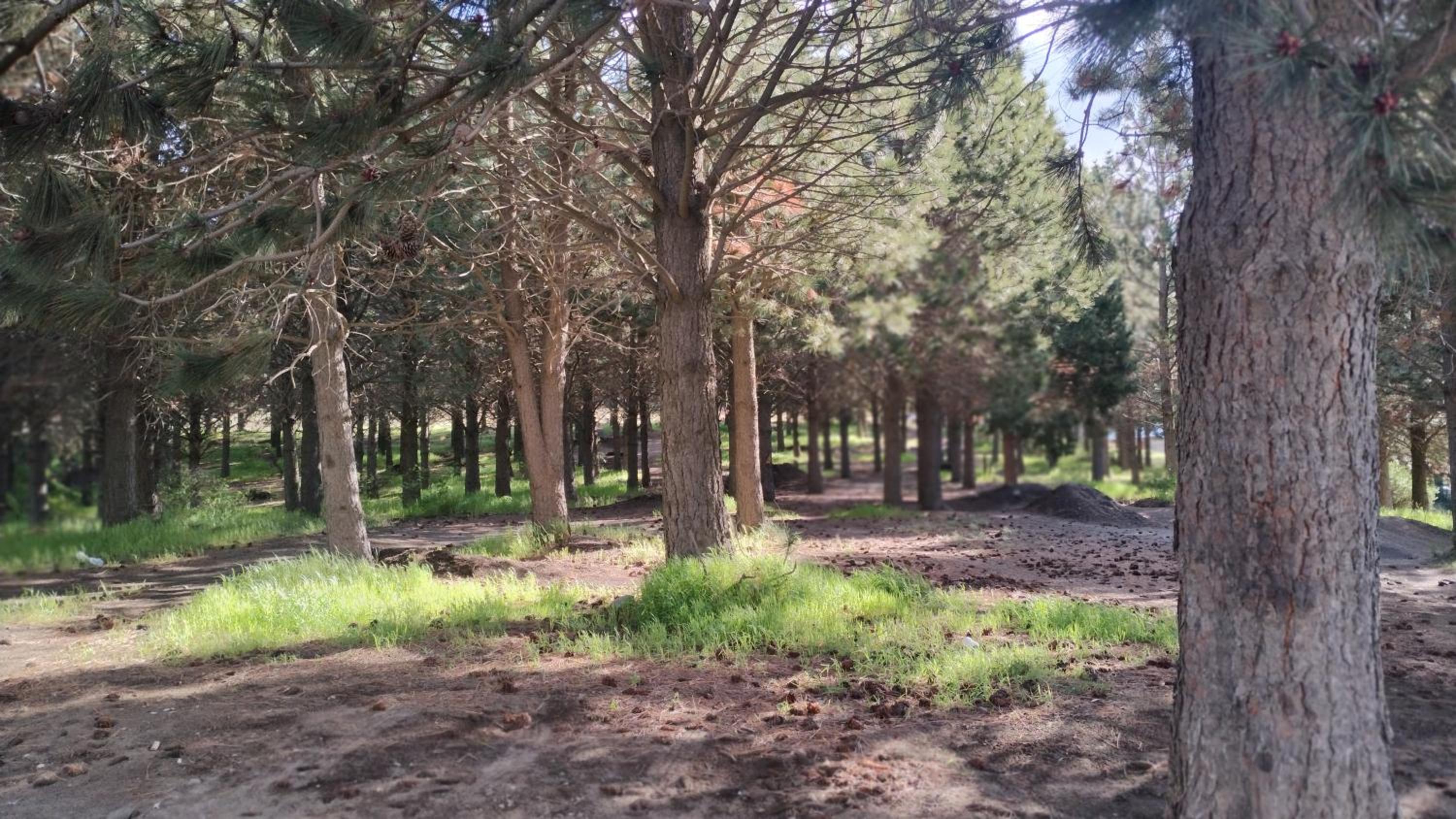 Nacientes del Limay, Dina Huapi