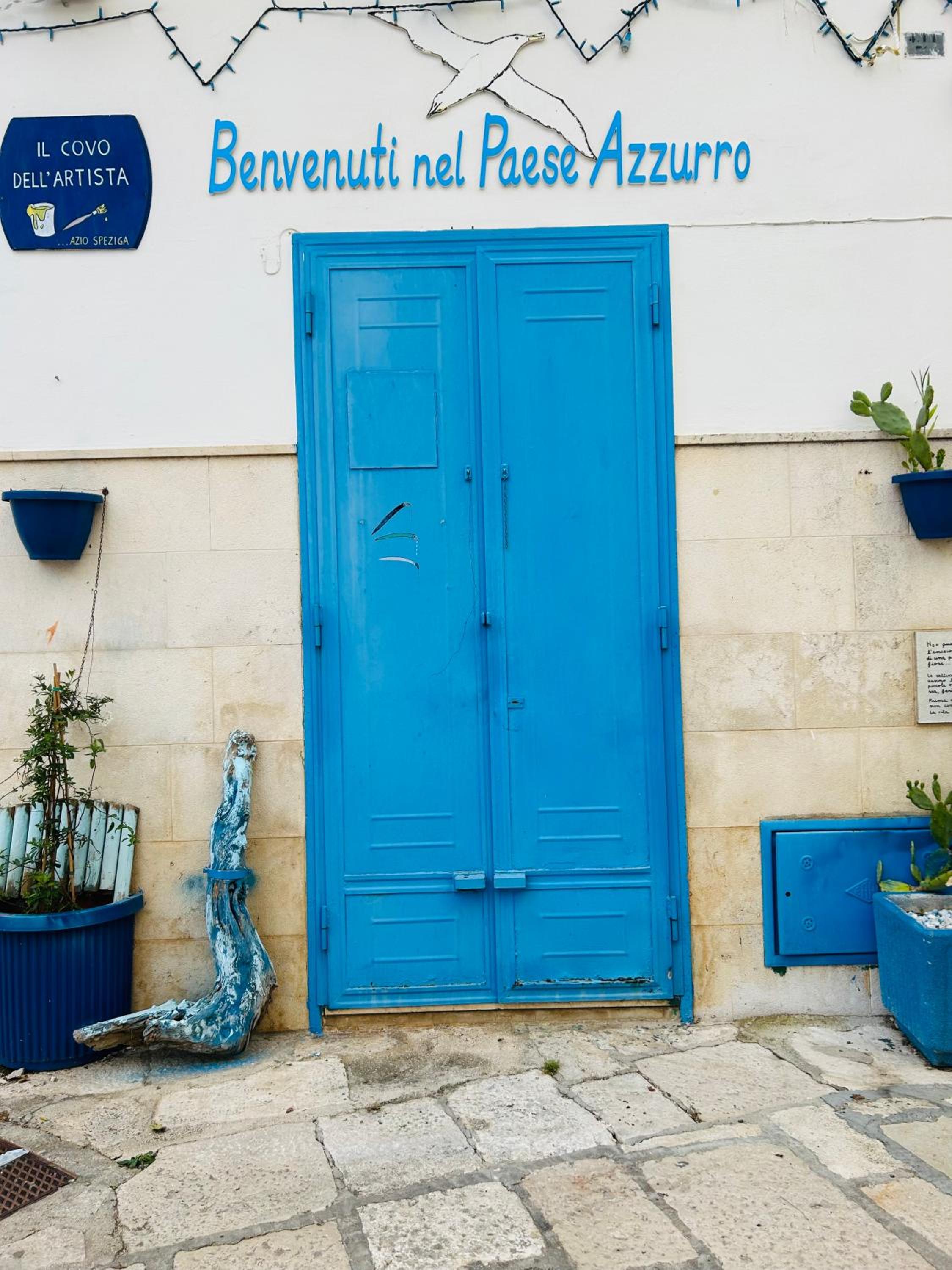 Mediterre Domus