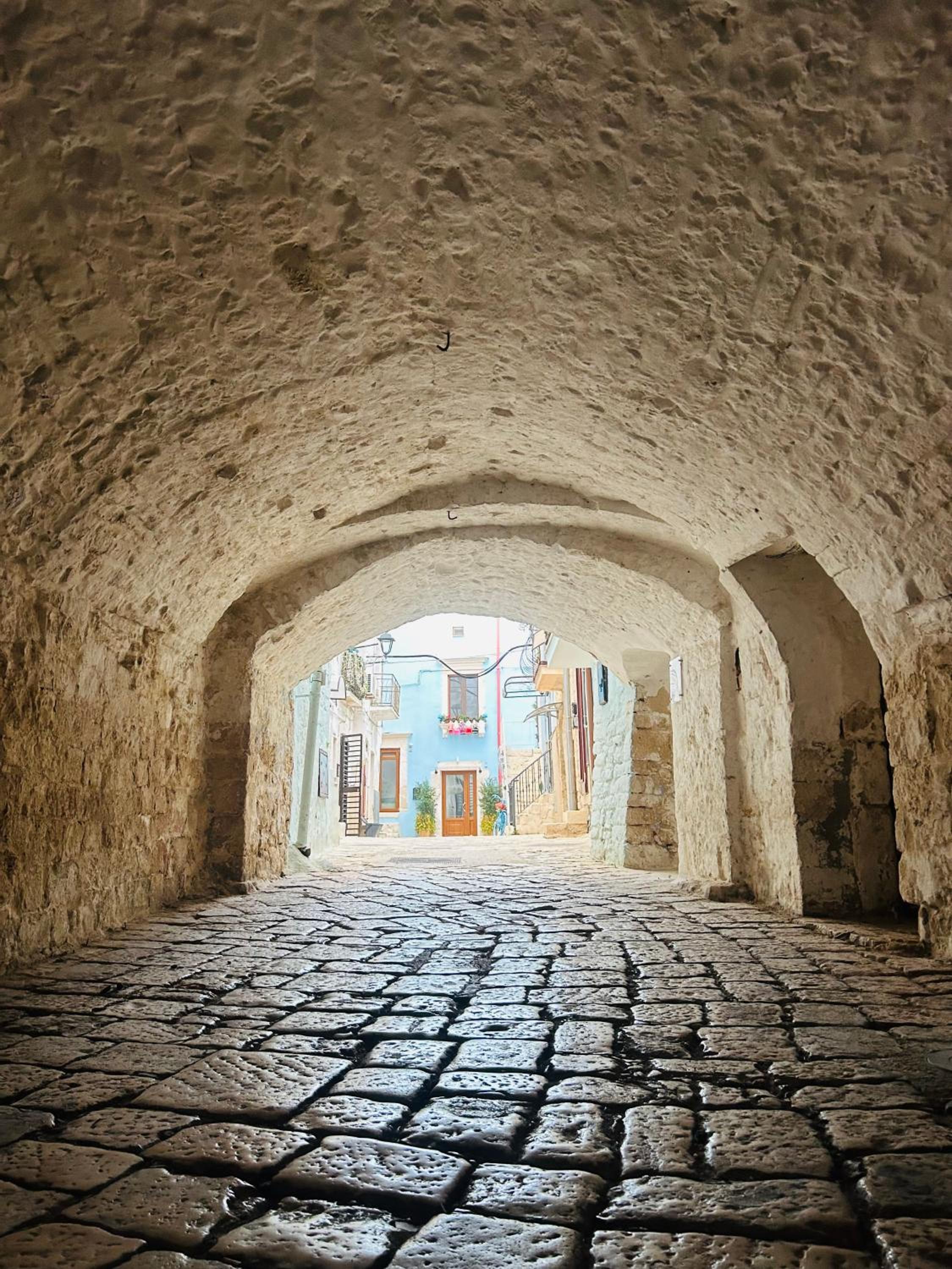 Mediterre Domus