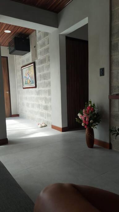Casas Plamont