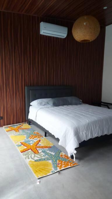 Casas Plamont