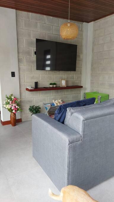 Casas Plamont