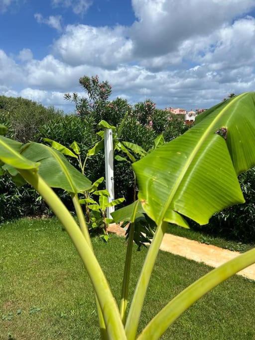 Appartamento I Banani