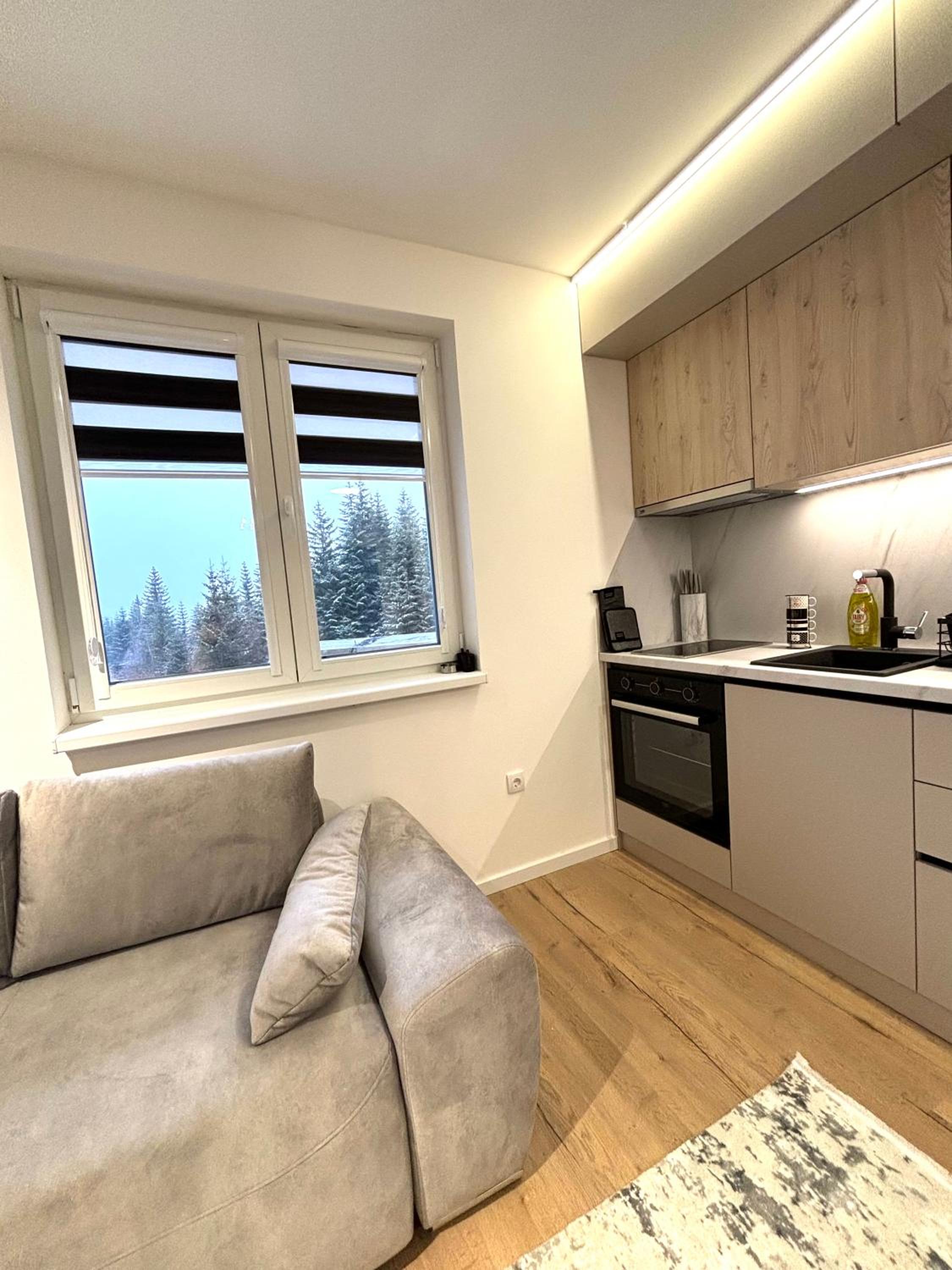 Pinewood apartment II Jahorina