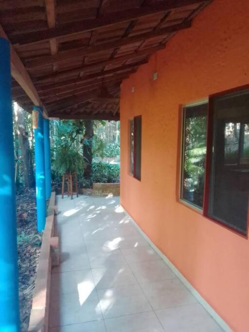 Casinha na agrofloresta