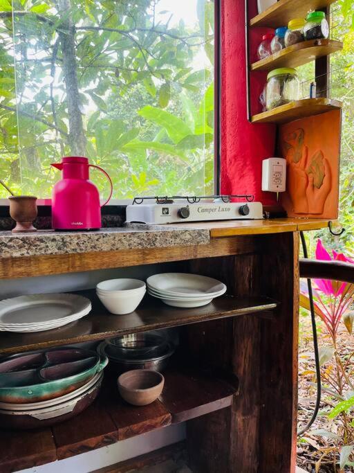 Casinha na agrofloresta