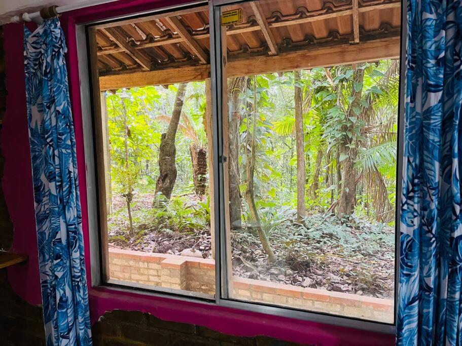 Casinha na agrofloresta