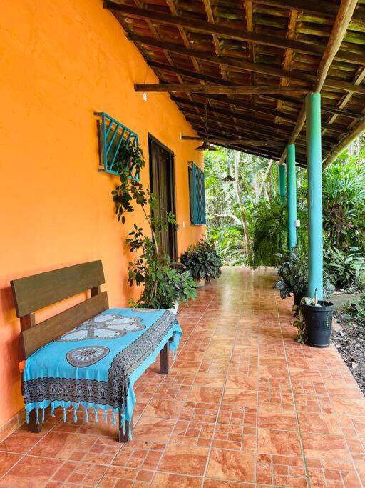 Casinha na agrofloresta
