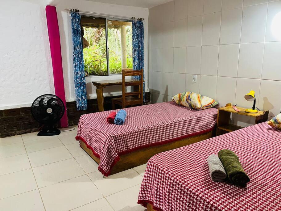 Casinha na agrofloresta