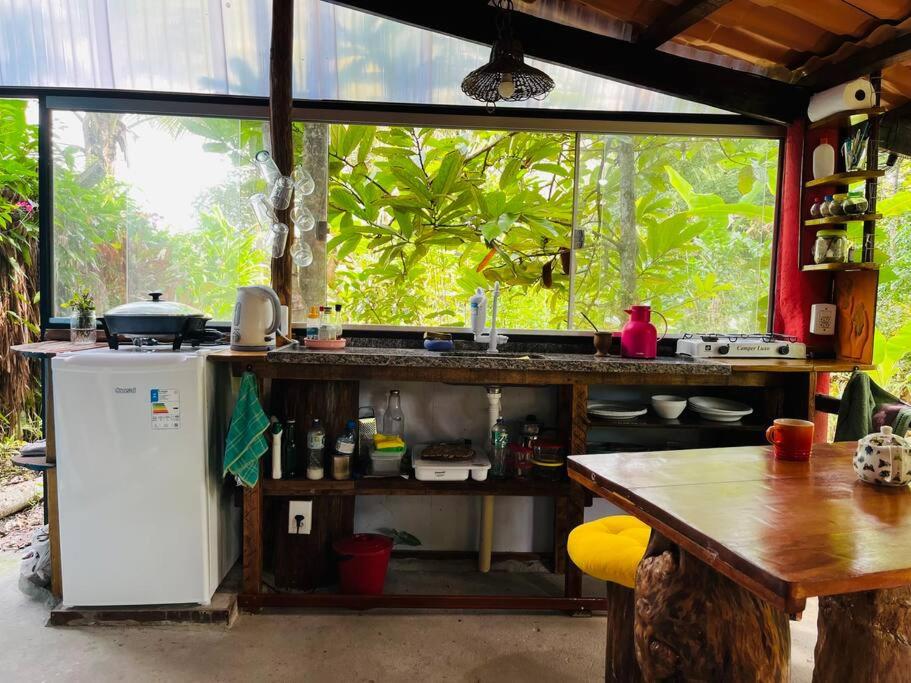 Casinha na agrofloresta