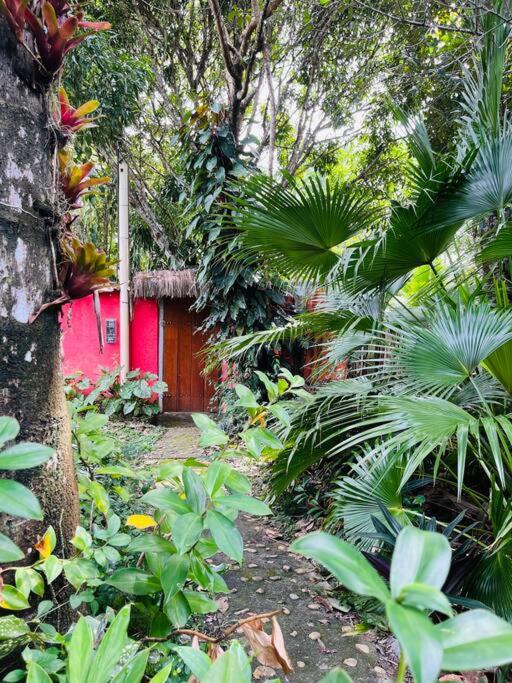 Casinha na agrofloresta