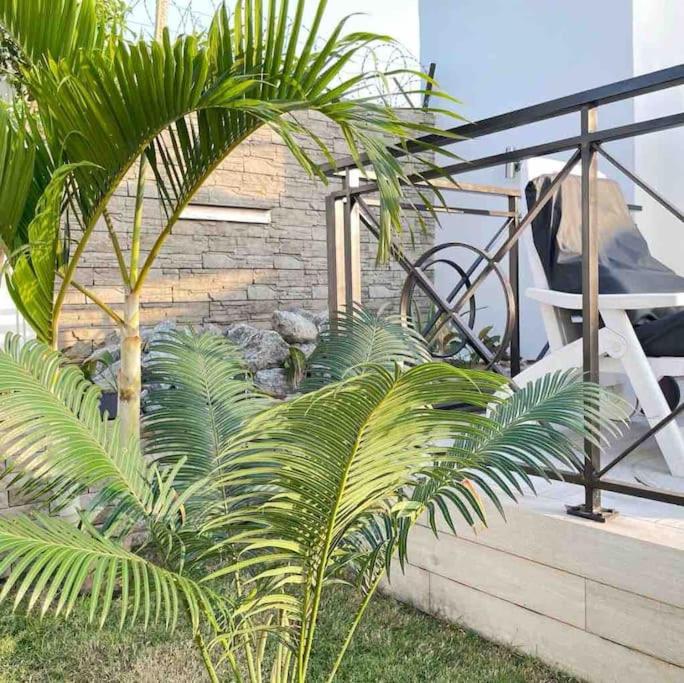 Studio Petit Hambourg
