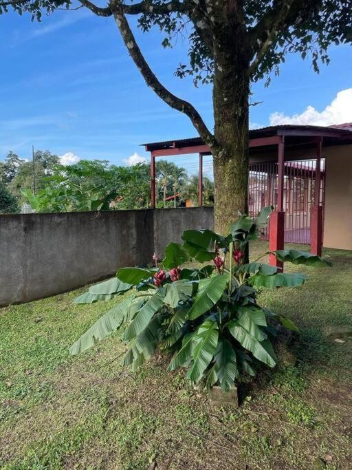 Volcanos Houses
