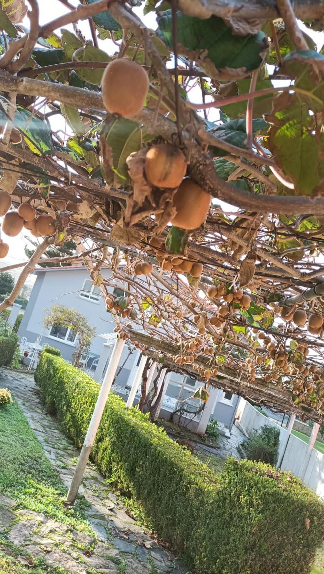 Equilibrium Valdoviño