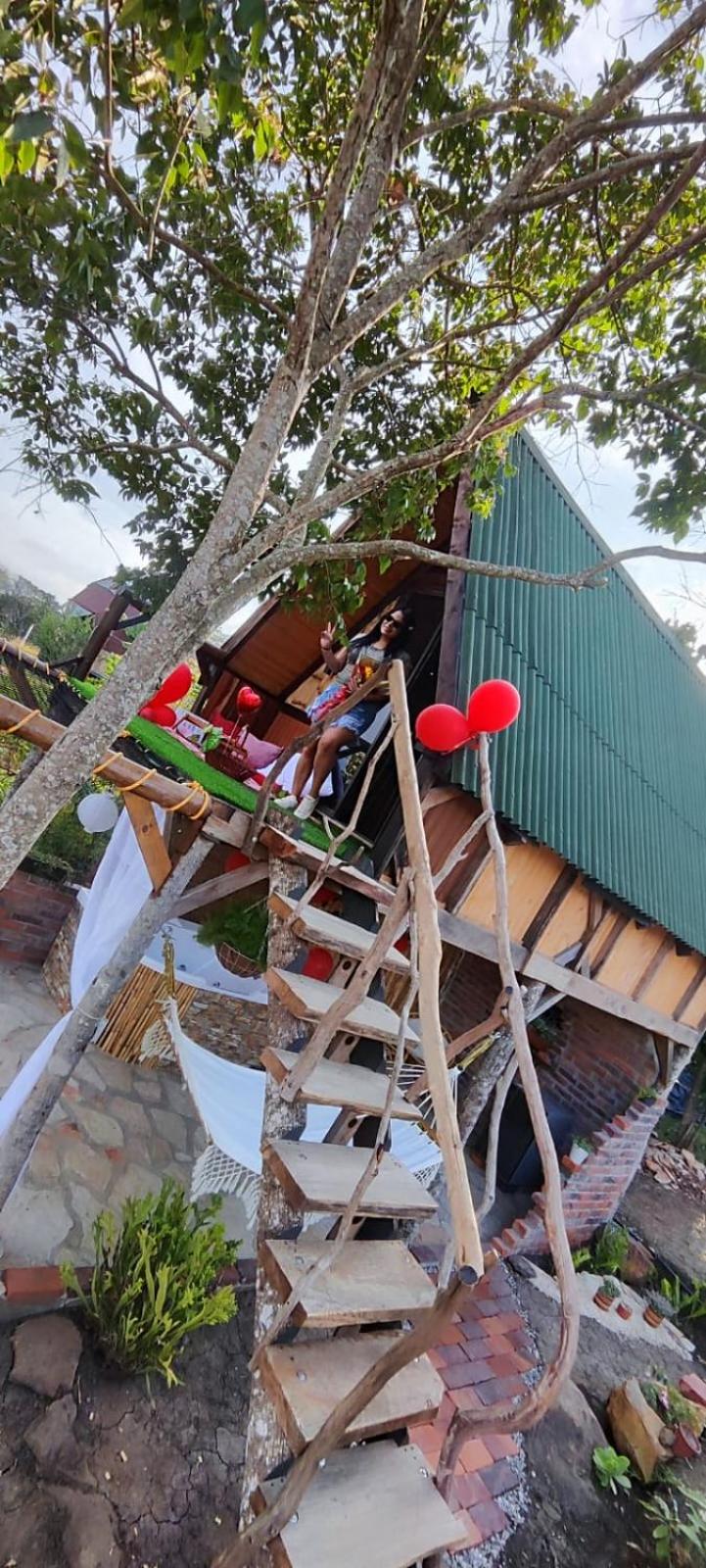 Glamping el nido