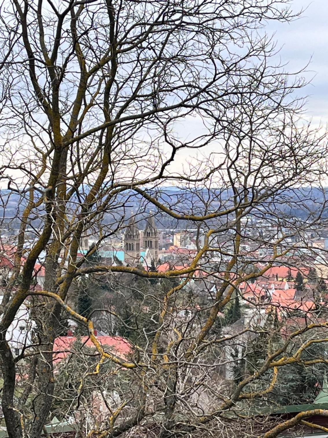 Bárány Apartman