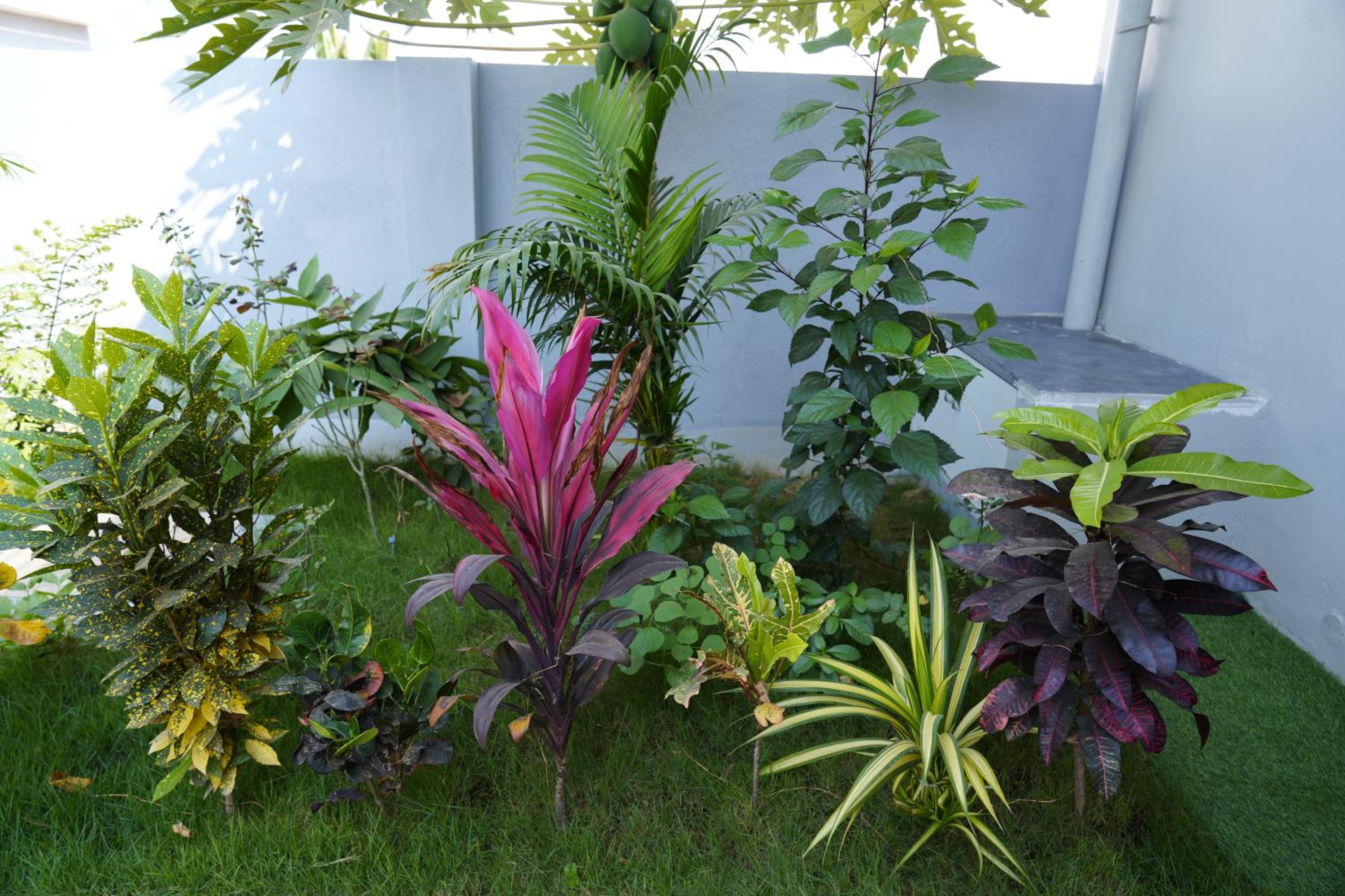 Sri Sakthi Residence