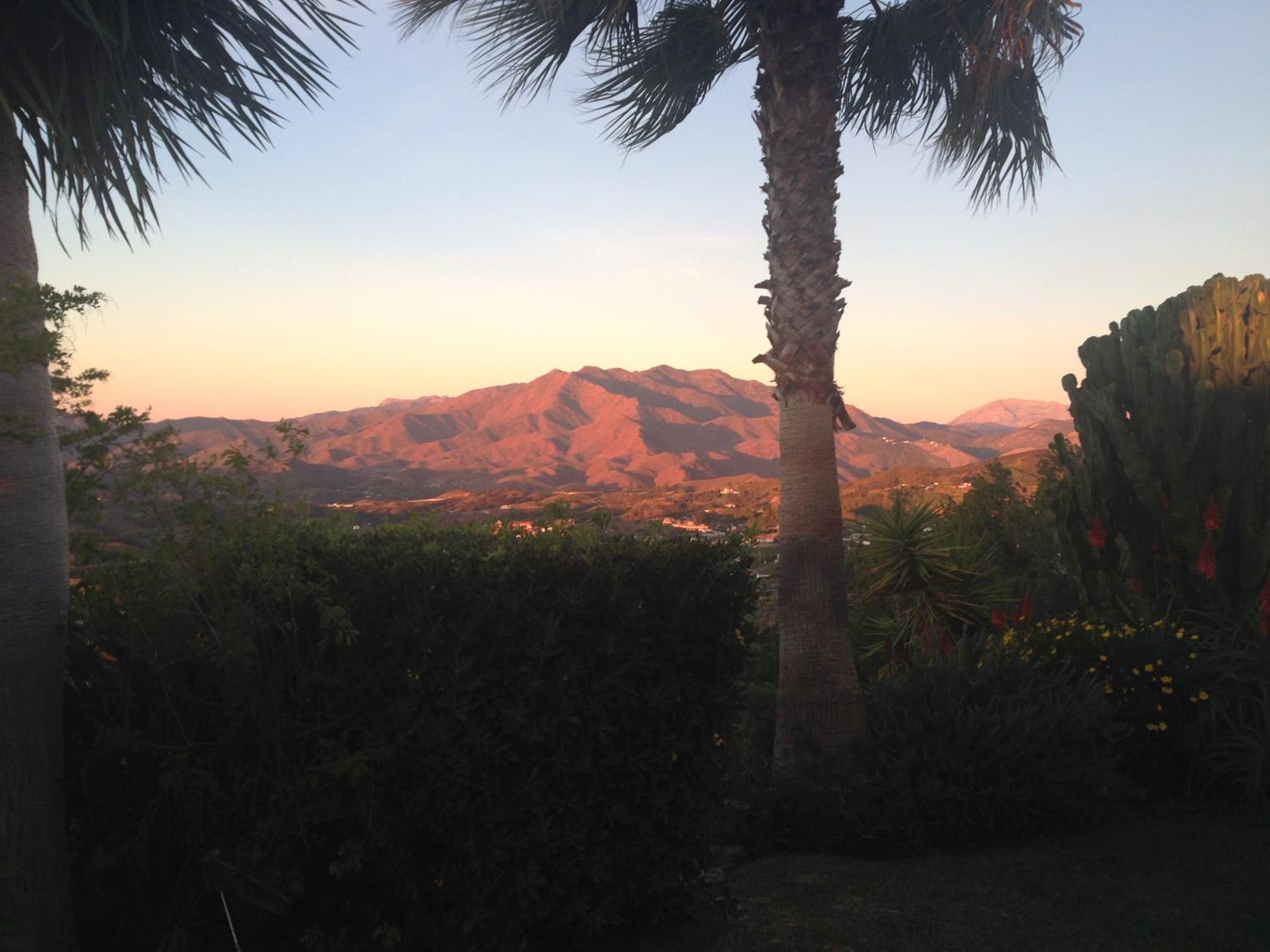 Finca Lechuza
