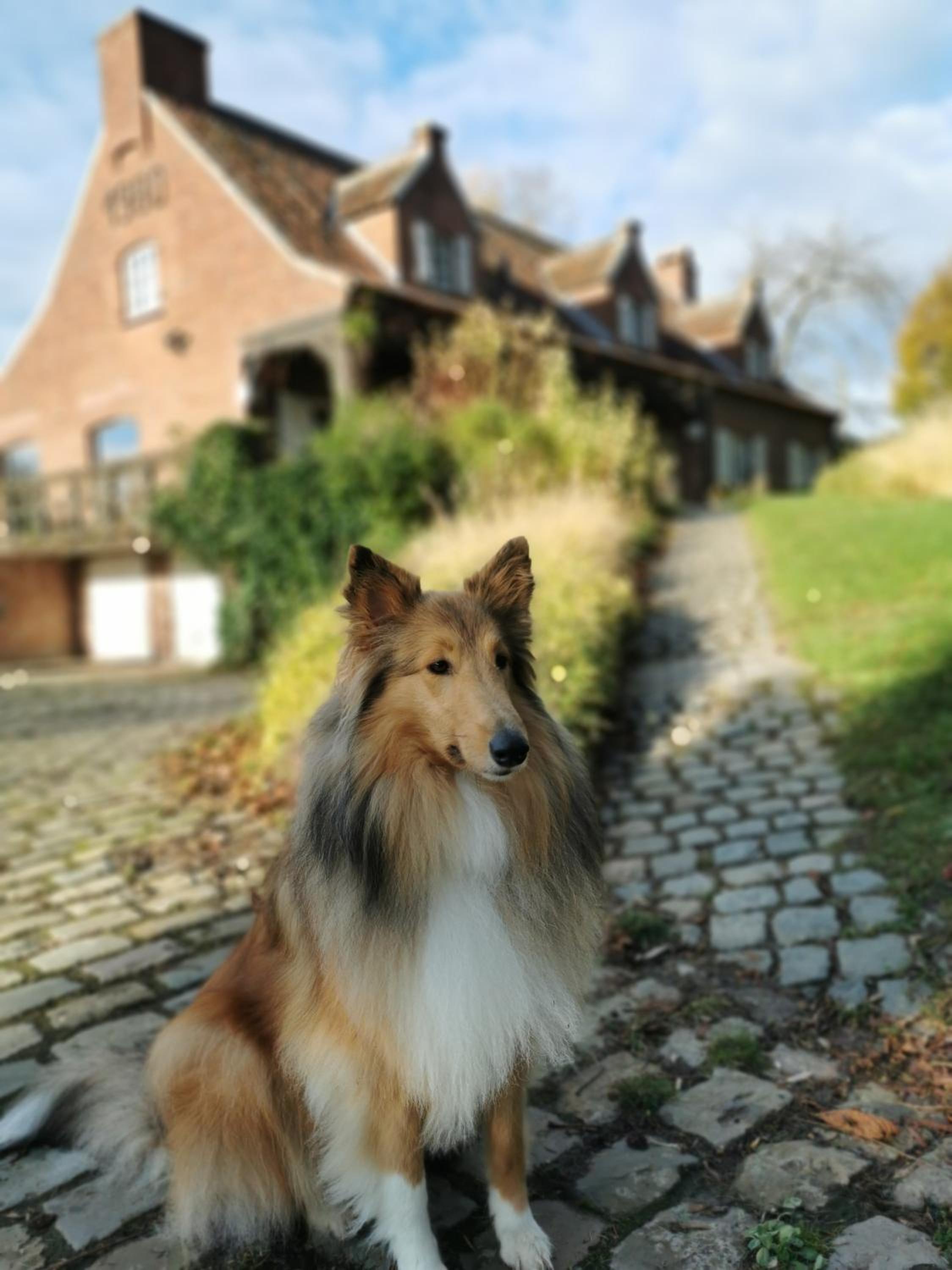 B&B Lili's Tuin