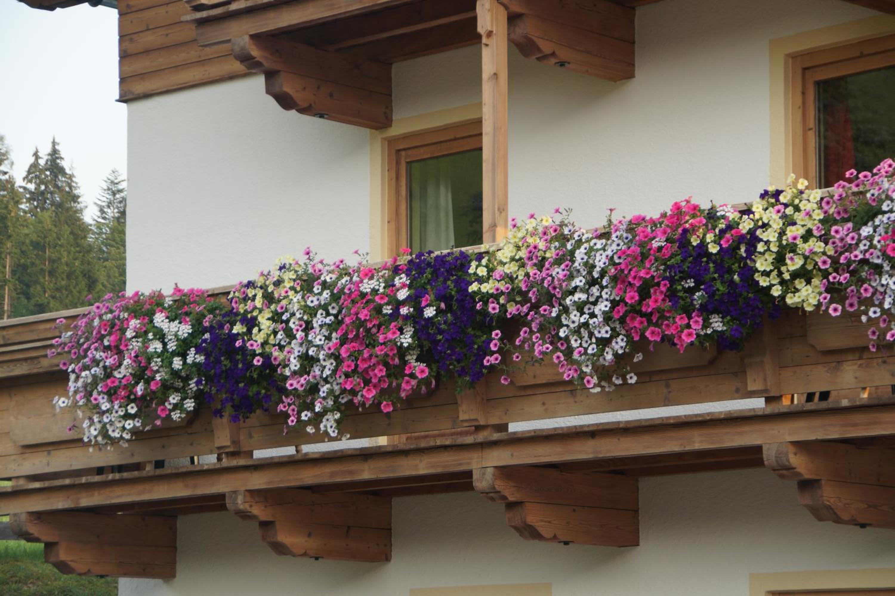 Pension Sonnleit'n, photo 47