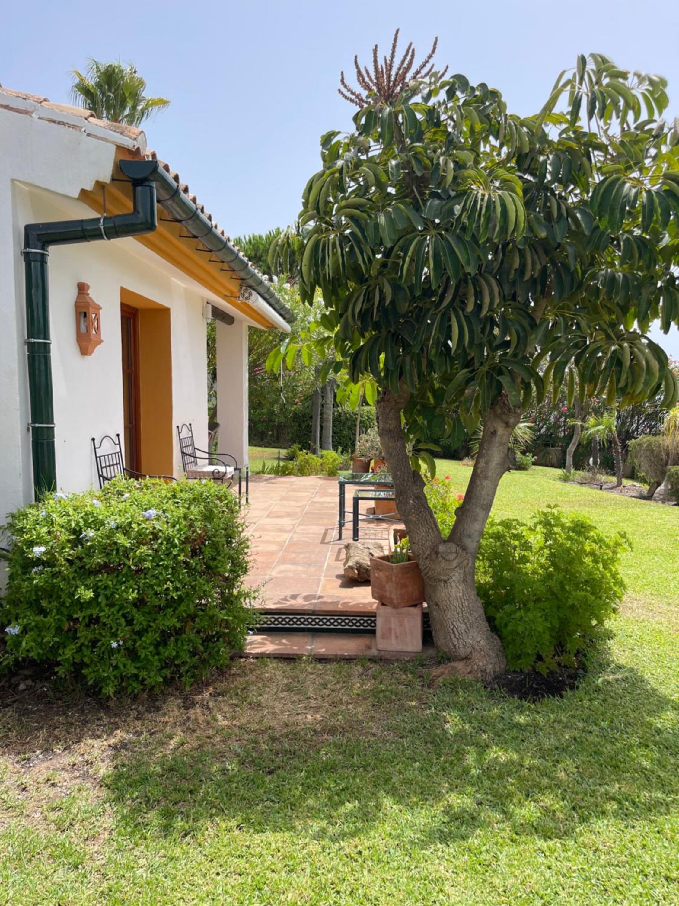 Finca Lechuza