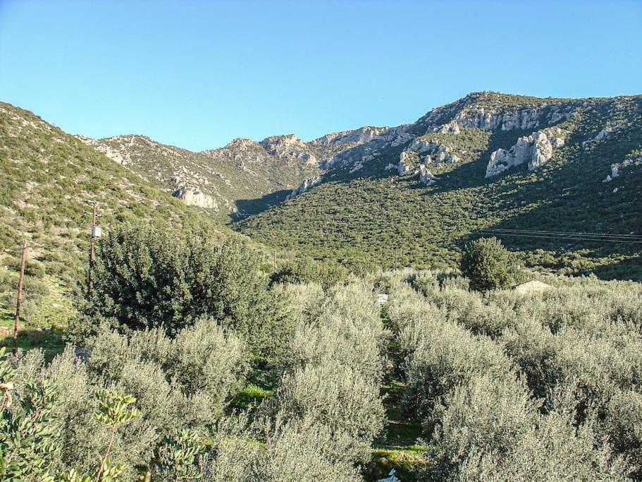 Photo 29