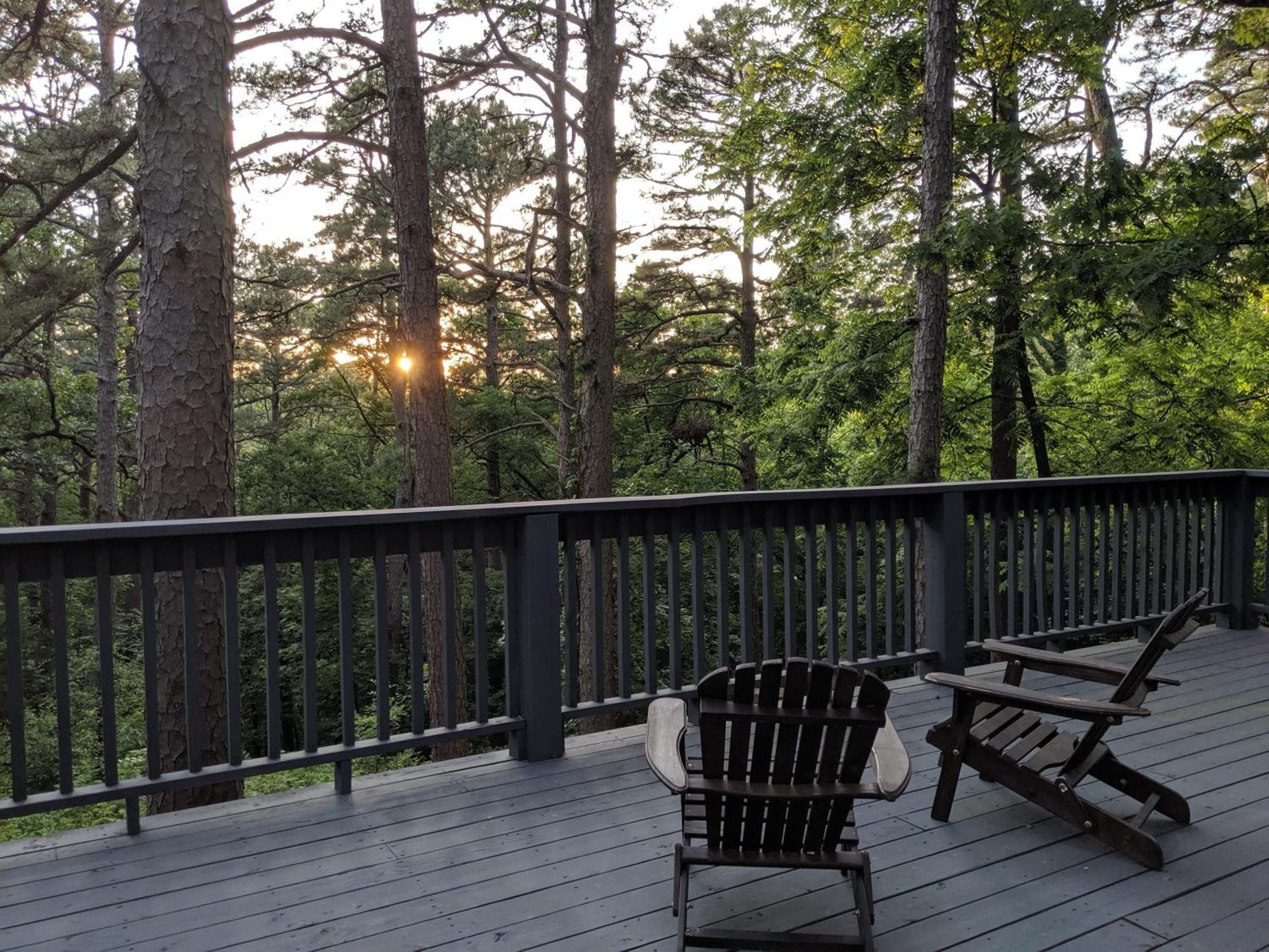 Loblolly Pines Adventure Cabin 4 King view 4
