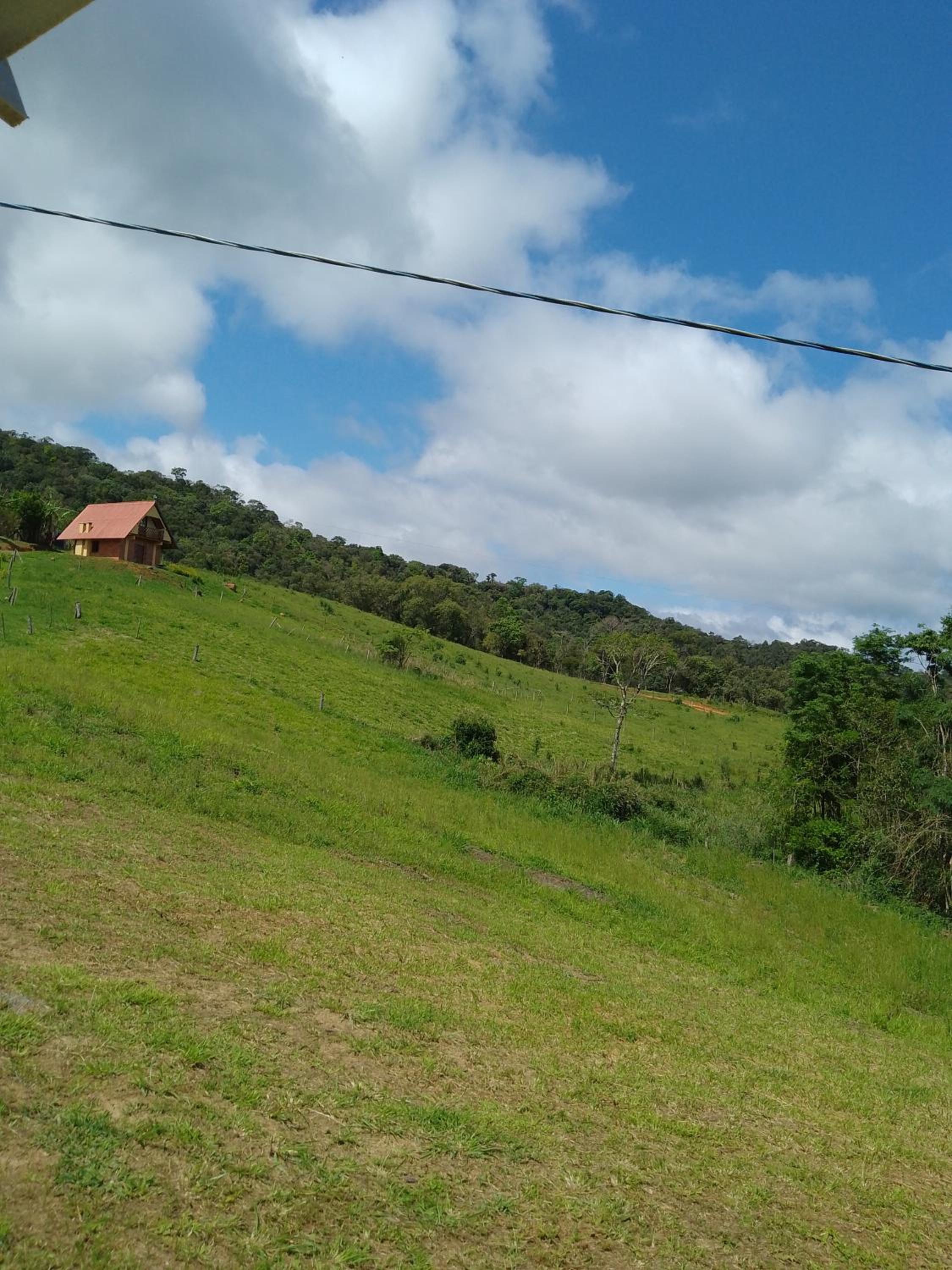 Casa das Palmeiras