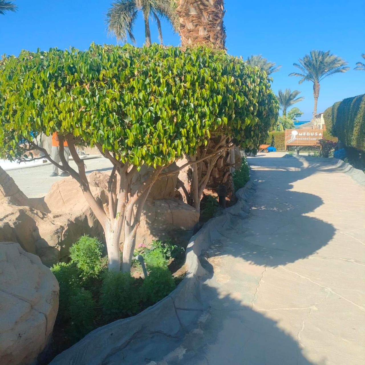 Hurghada Palma Resort Studio