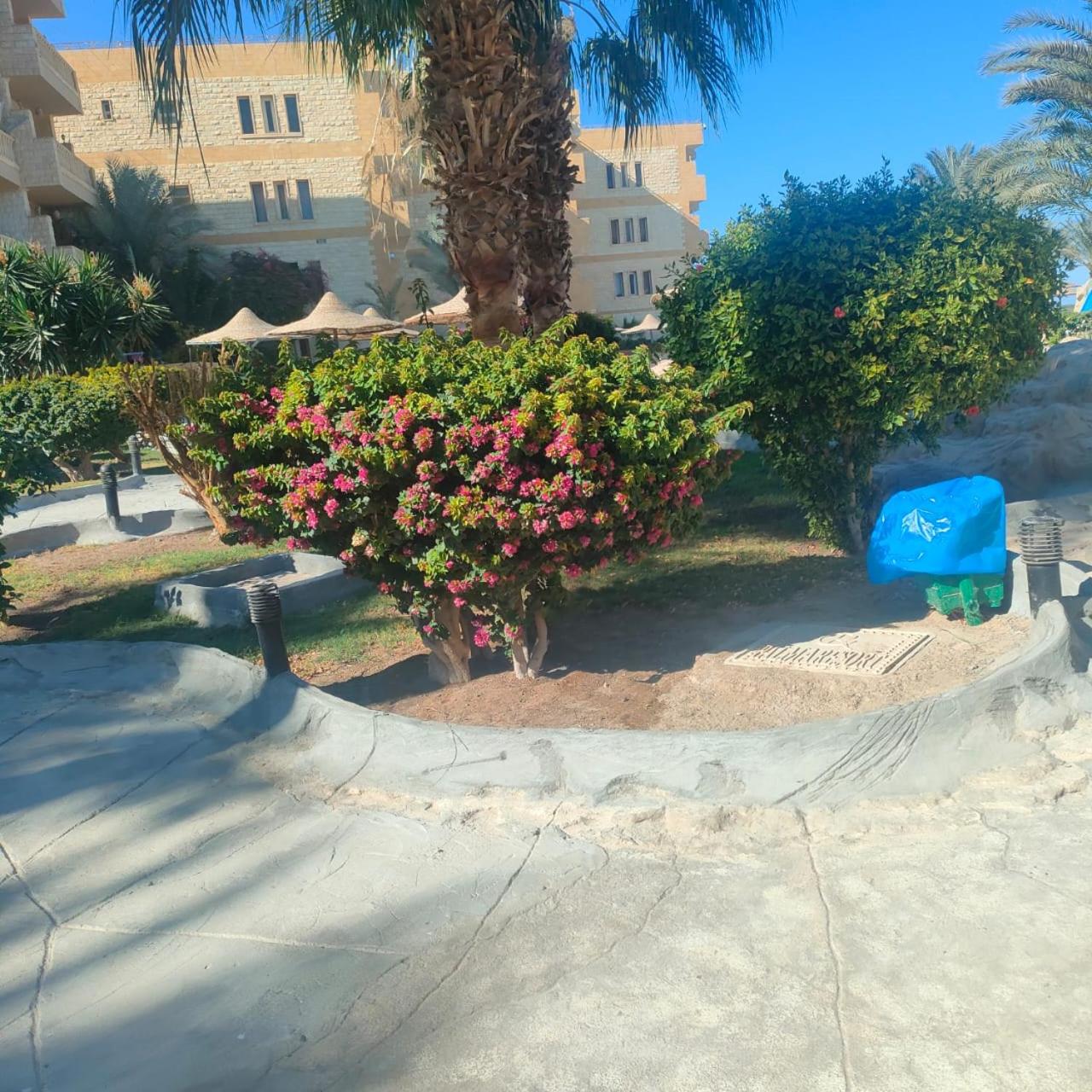 Hurghada Palma Resort Studio