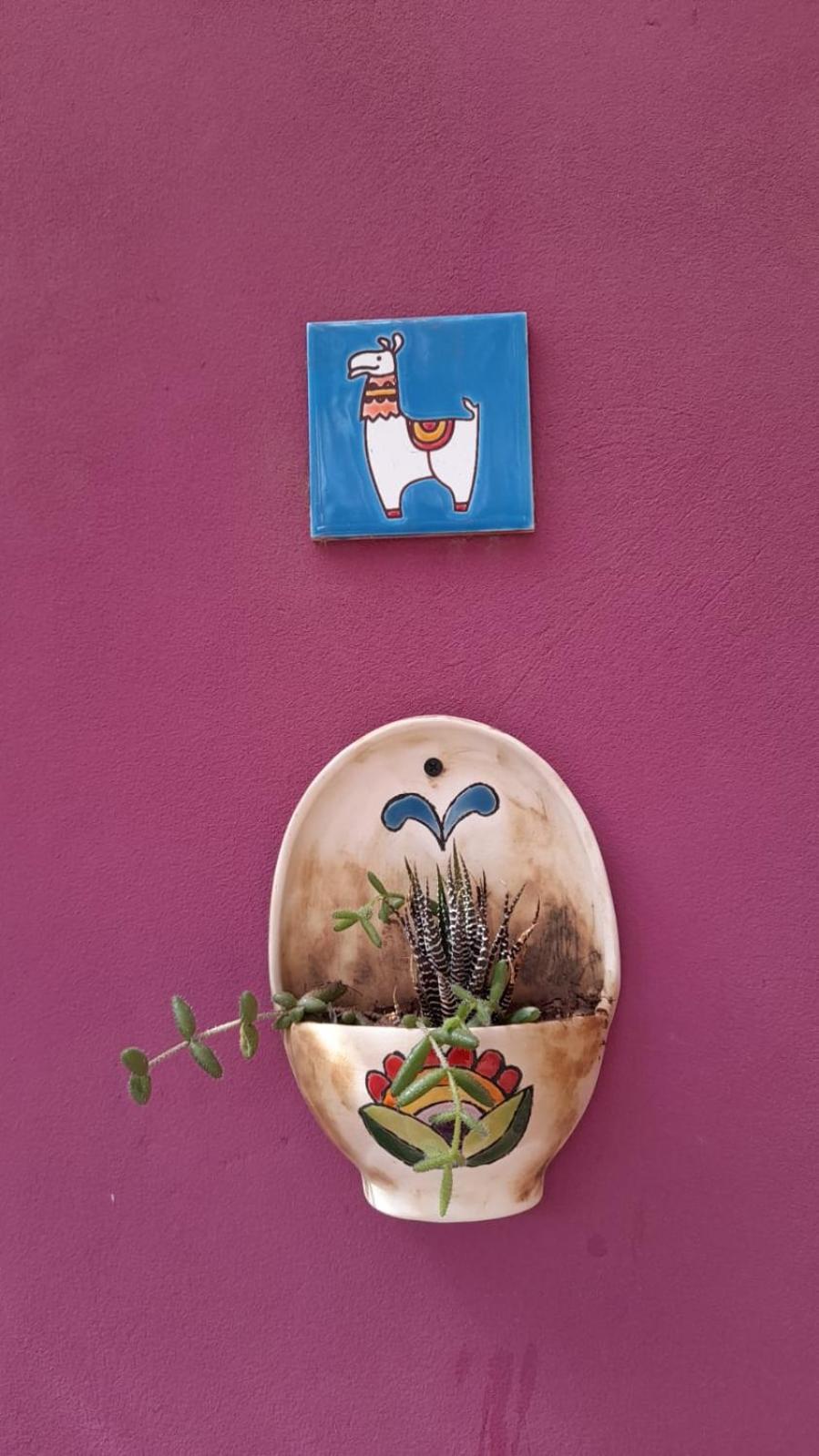 Hospedaje Familiar Raza Mistica