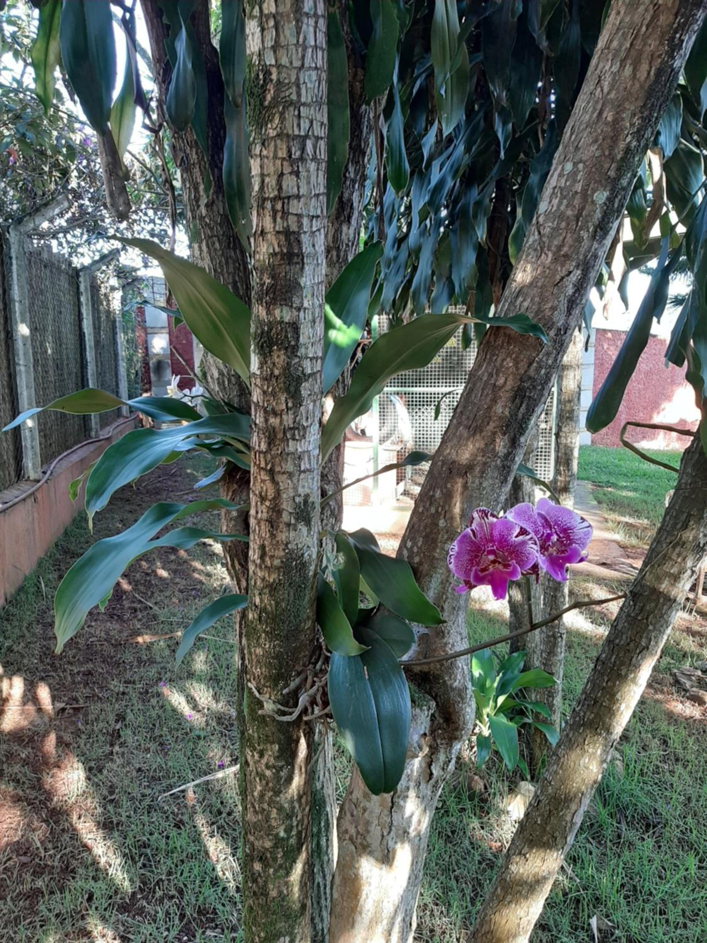 Casa de estadia, lazer e encontros