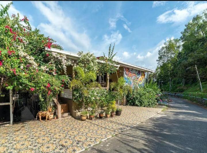 DD Homestay photo 2