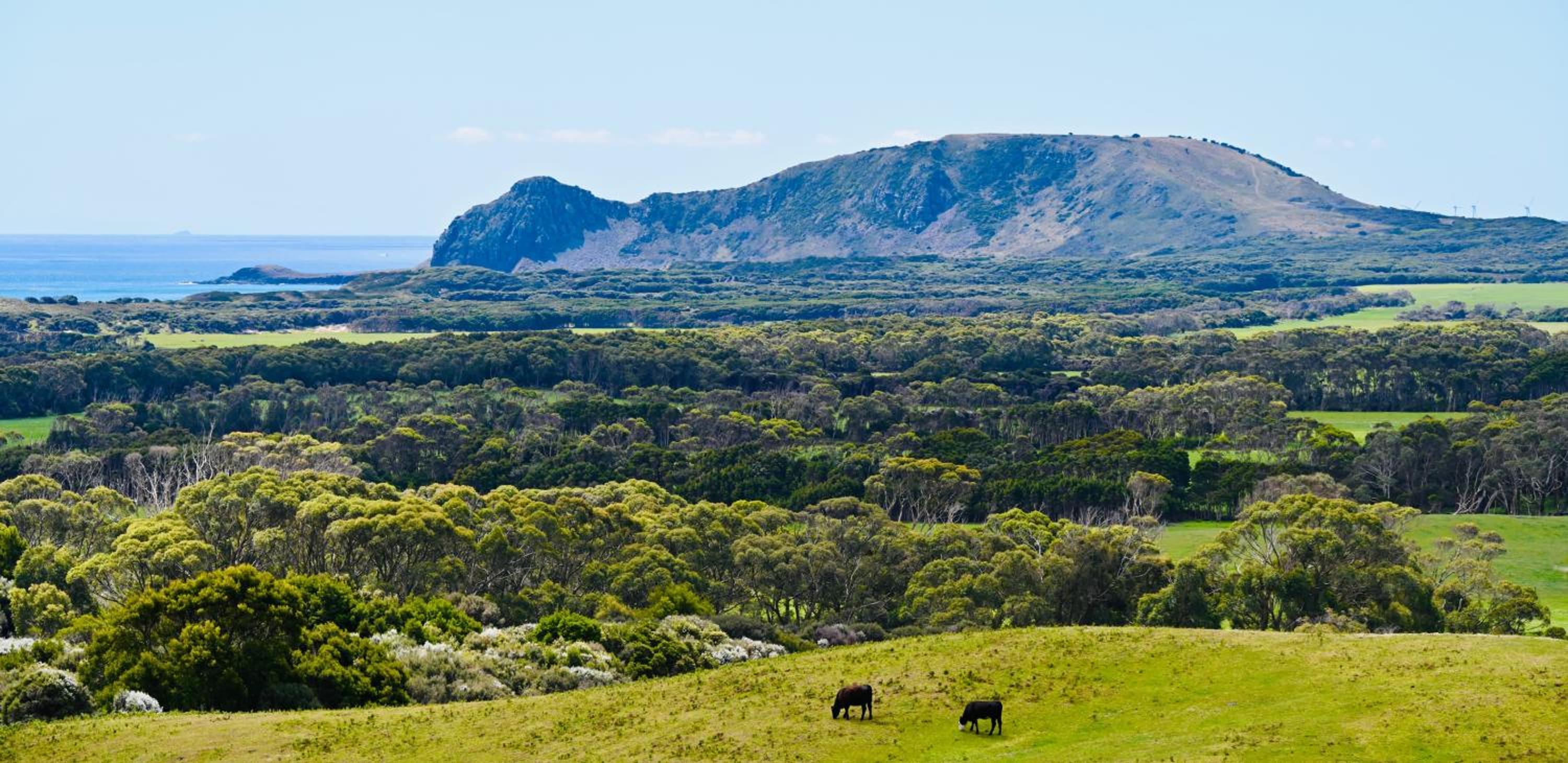 Mount View Marrawah