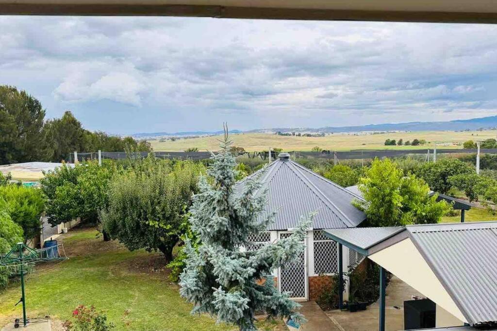 Dhanda Farm Bathurst