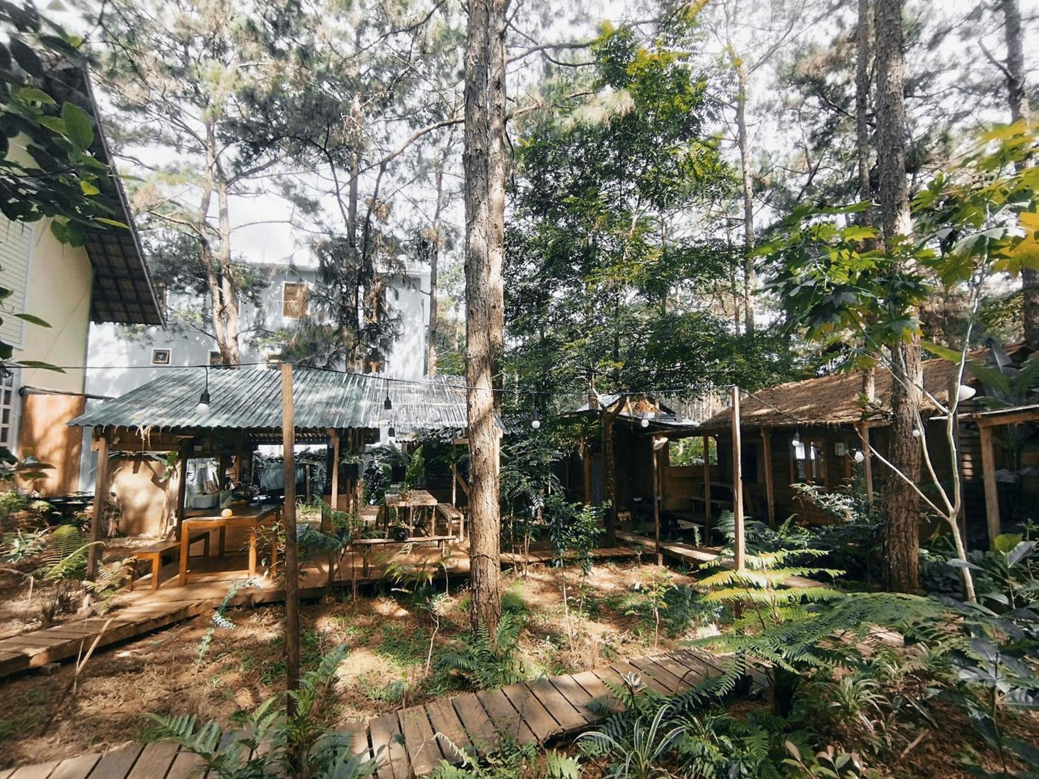 La Maison Homestay Măng Đen view 2