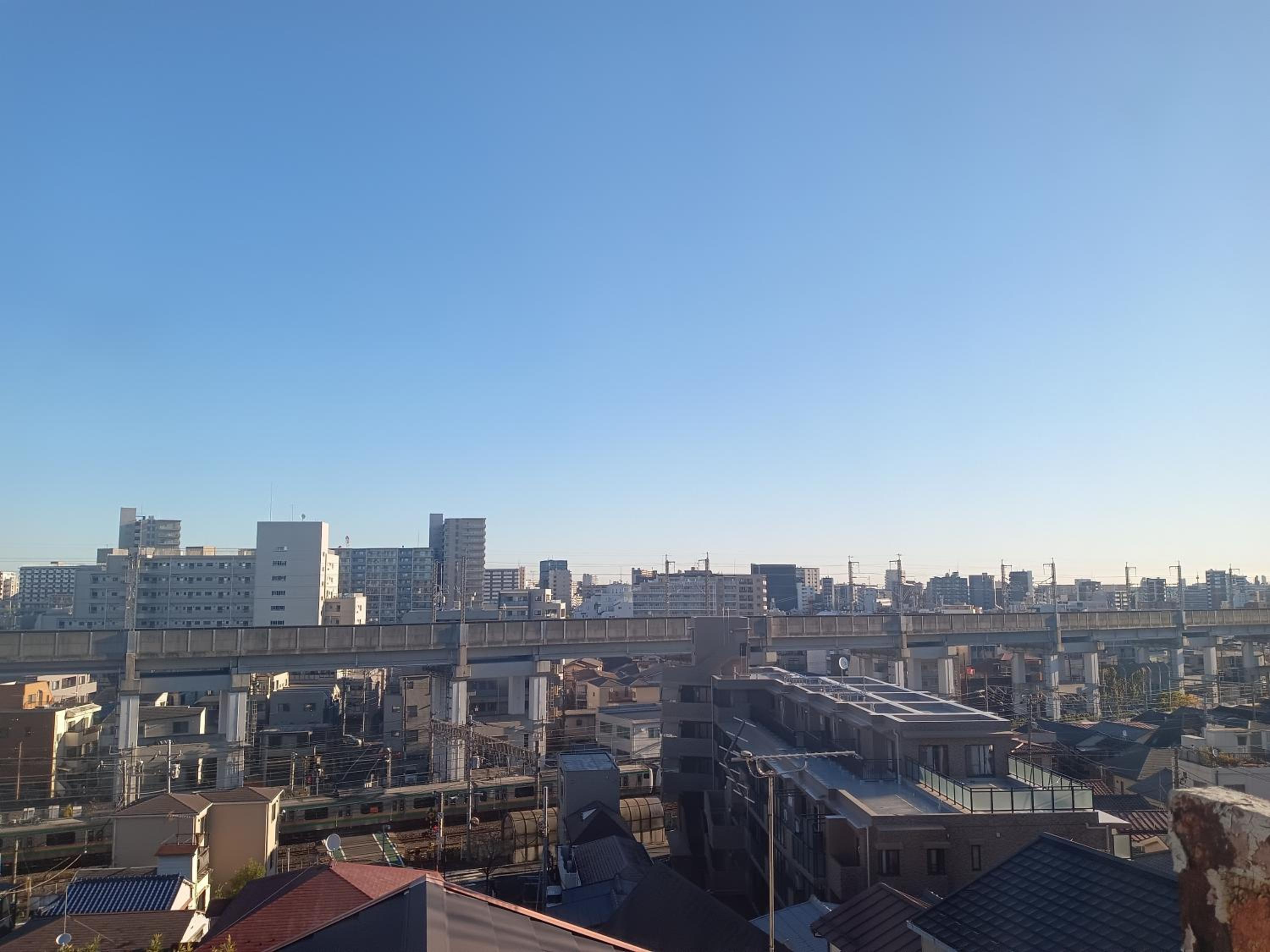 Tokyo downtown芍藥莊