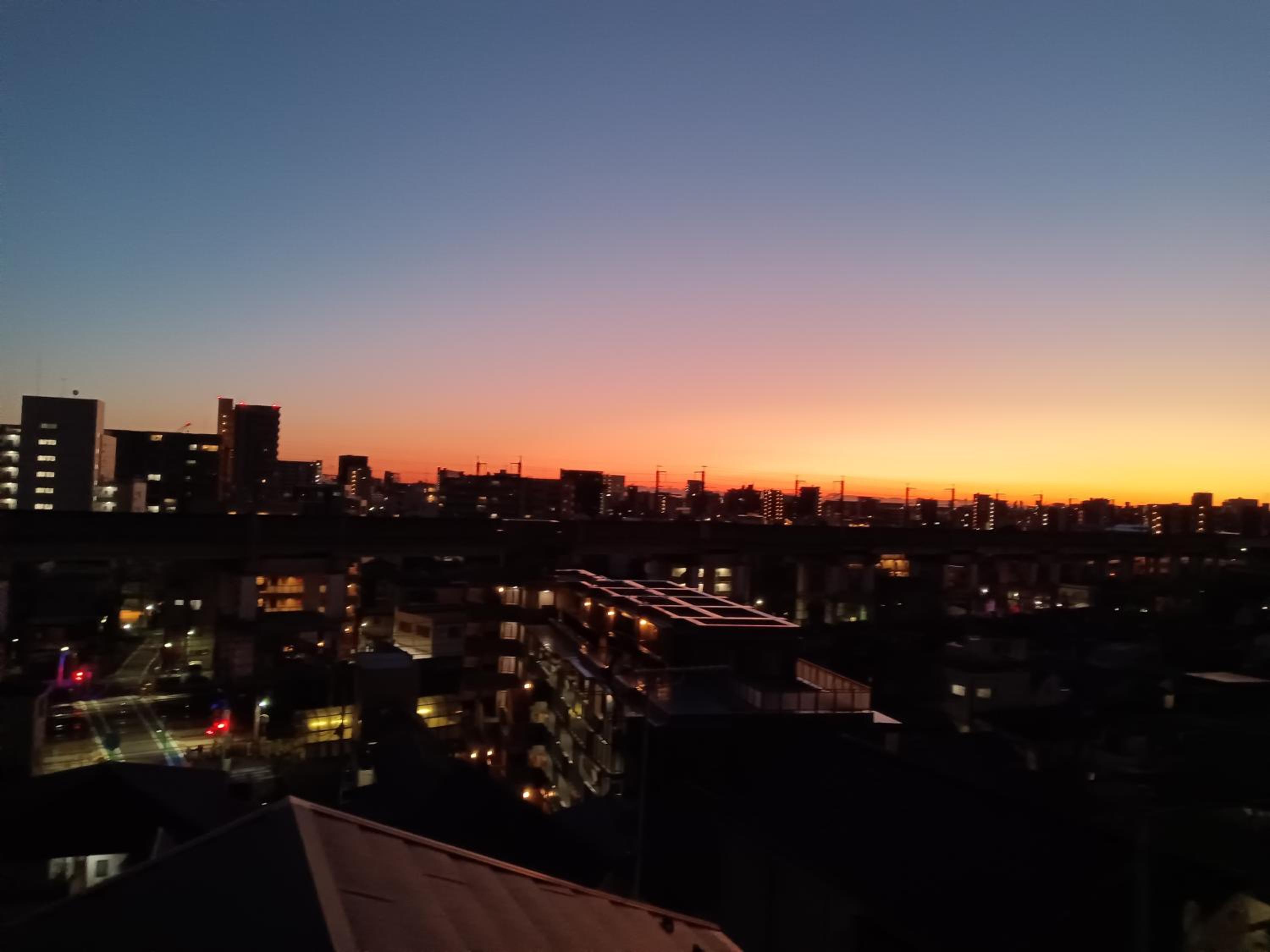 Tokyo downtown芍藥莊