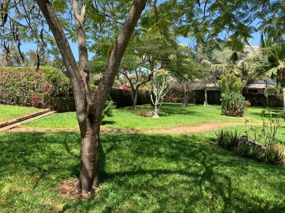 Ocean View Villa - Watamu view 2