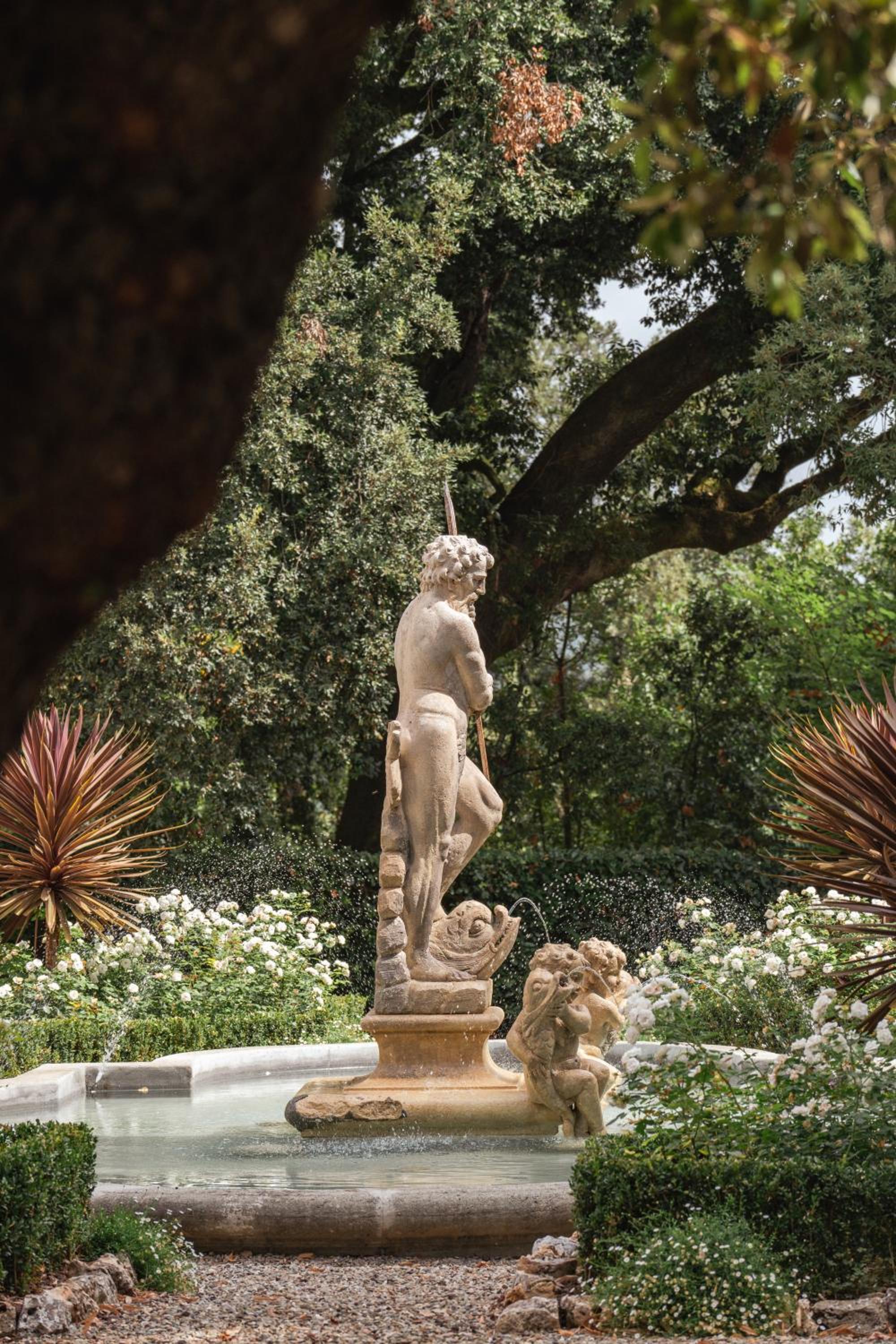 Villa Cosmiana Wine Estate view 5