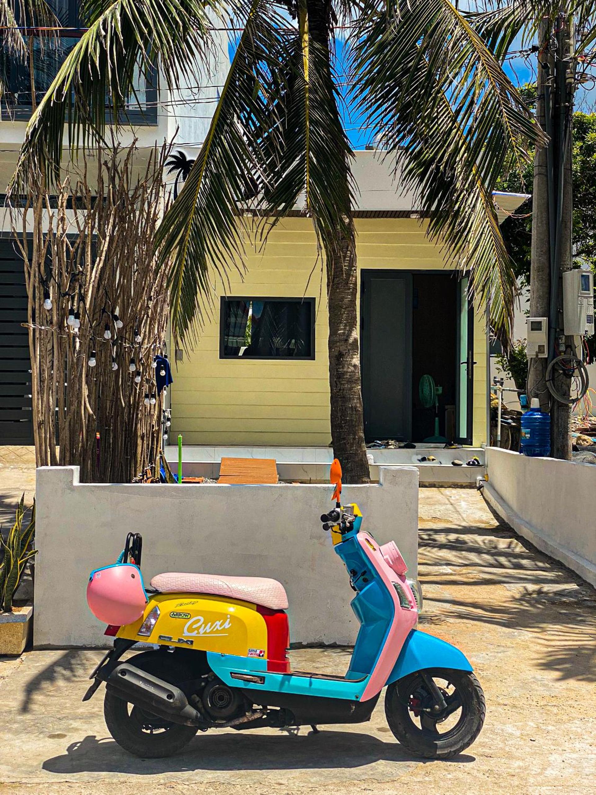 Dừa Homestay view 2