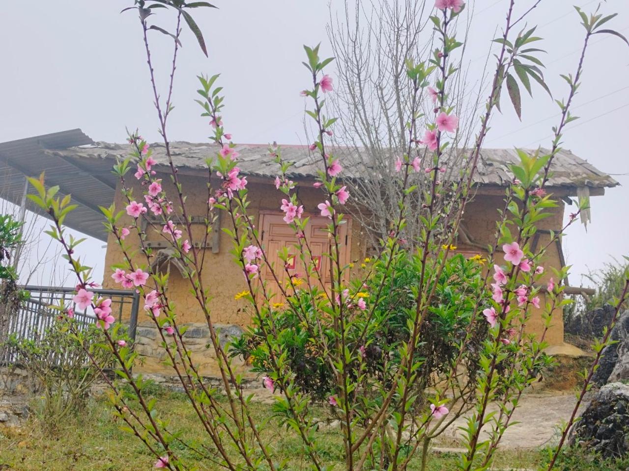 Tả Van Chư homestay