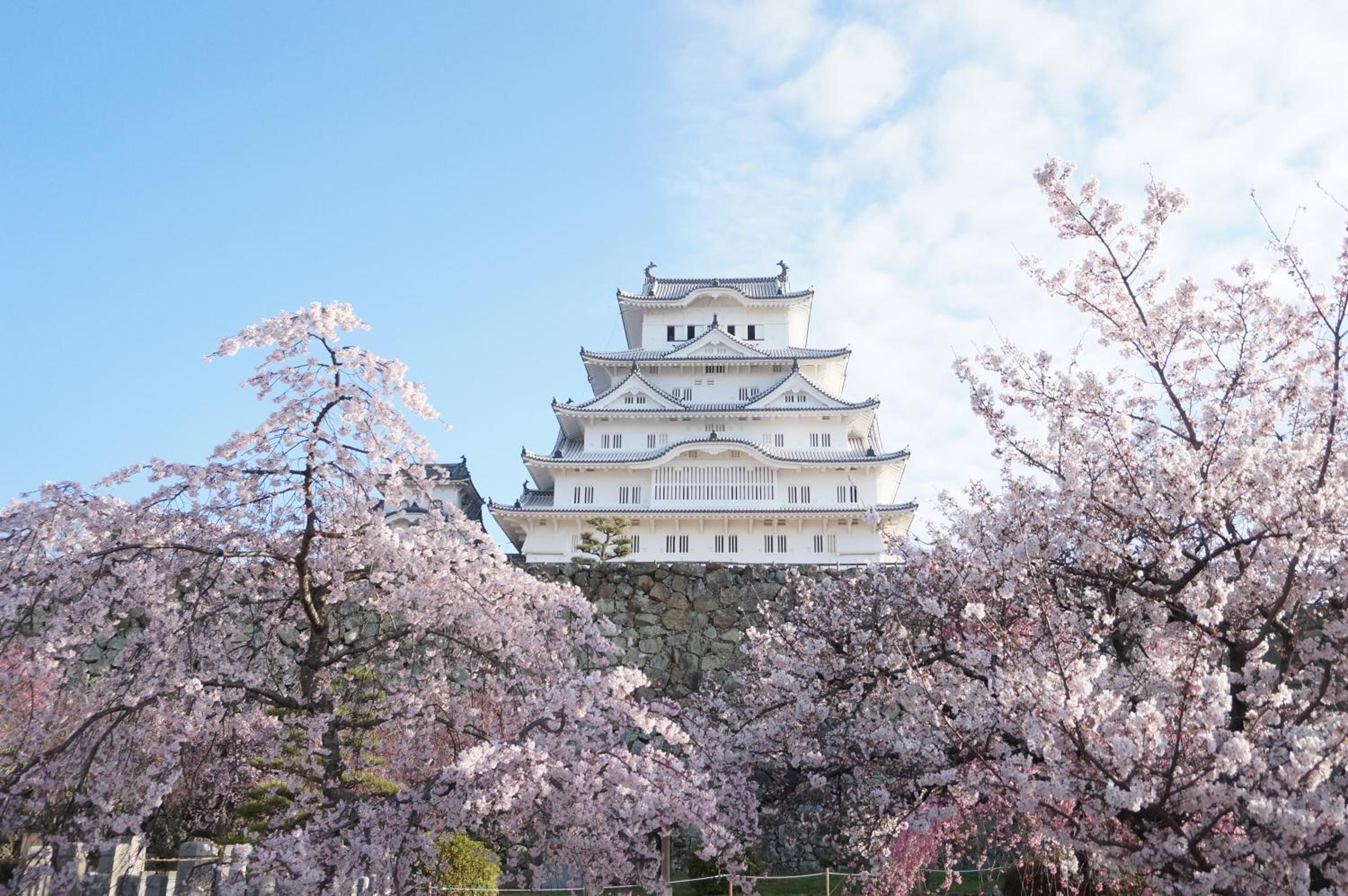 Himeji Vacations - Hotel Monterey Himeji - Property Image 23