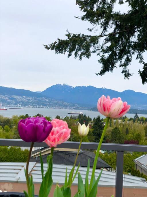 Oceanview Luxury 4-bedrooms Vancouver Point Grey