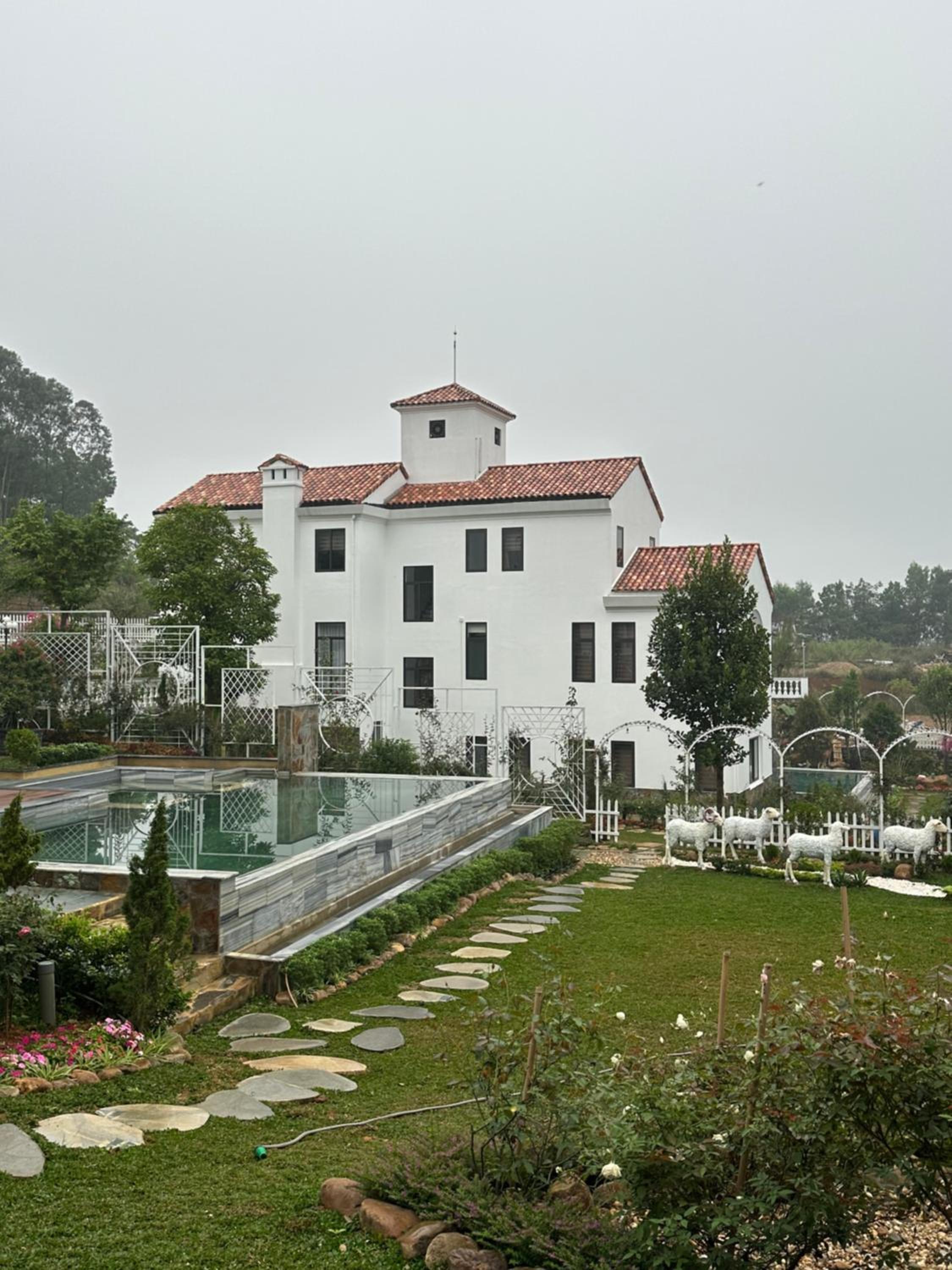 Photo 14