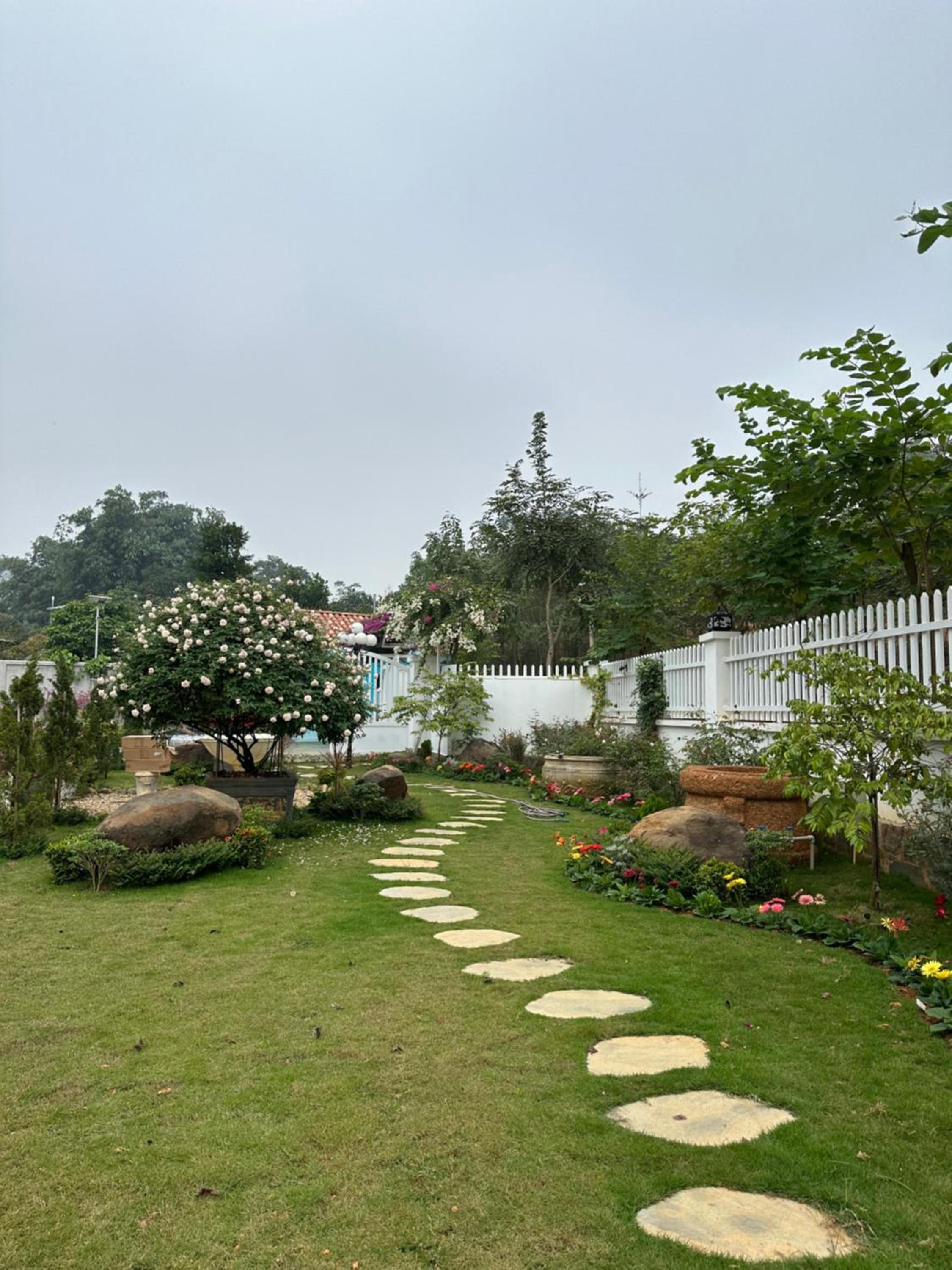 Photo 18