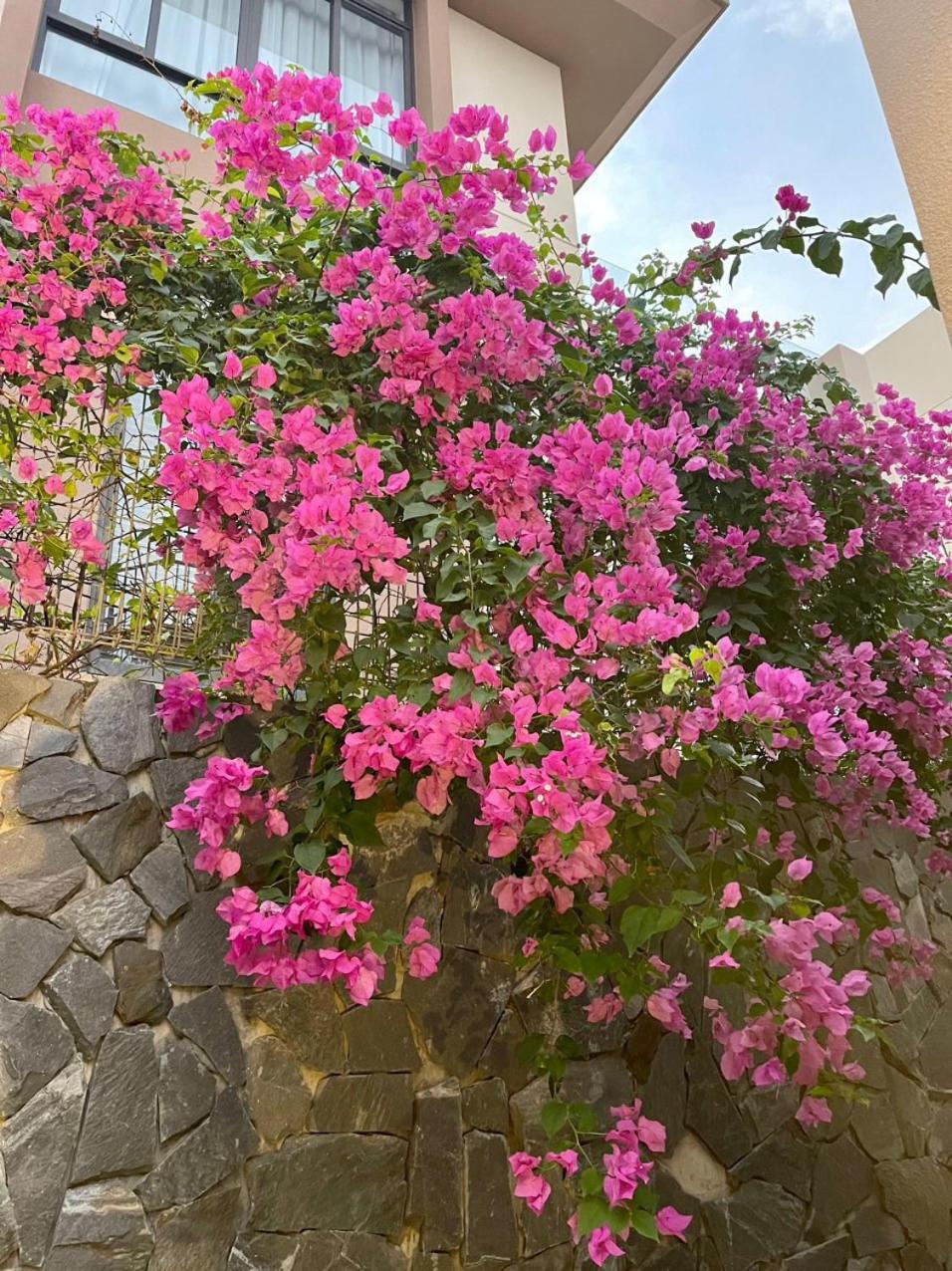 BIỆT THỰ BIỂN CAM RANH Wyndham garden view 2