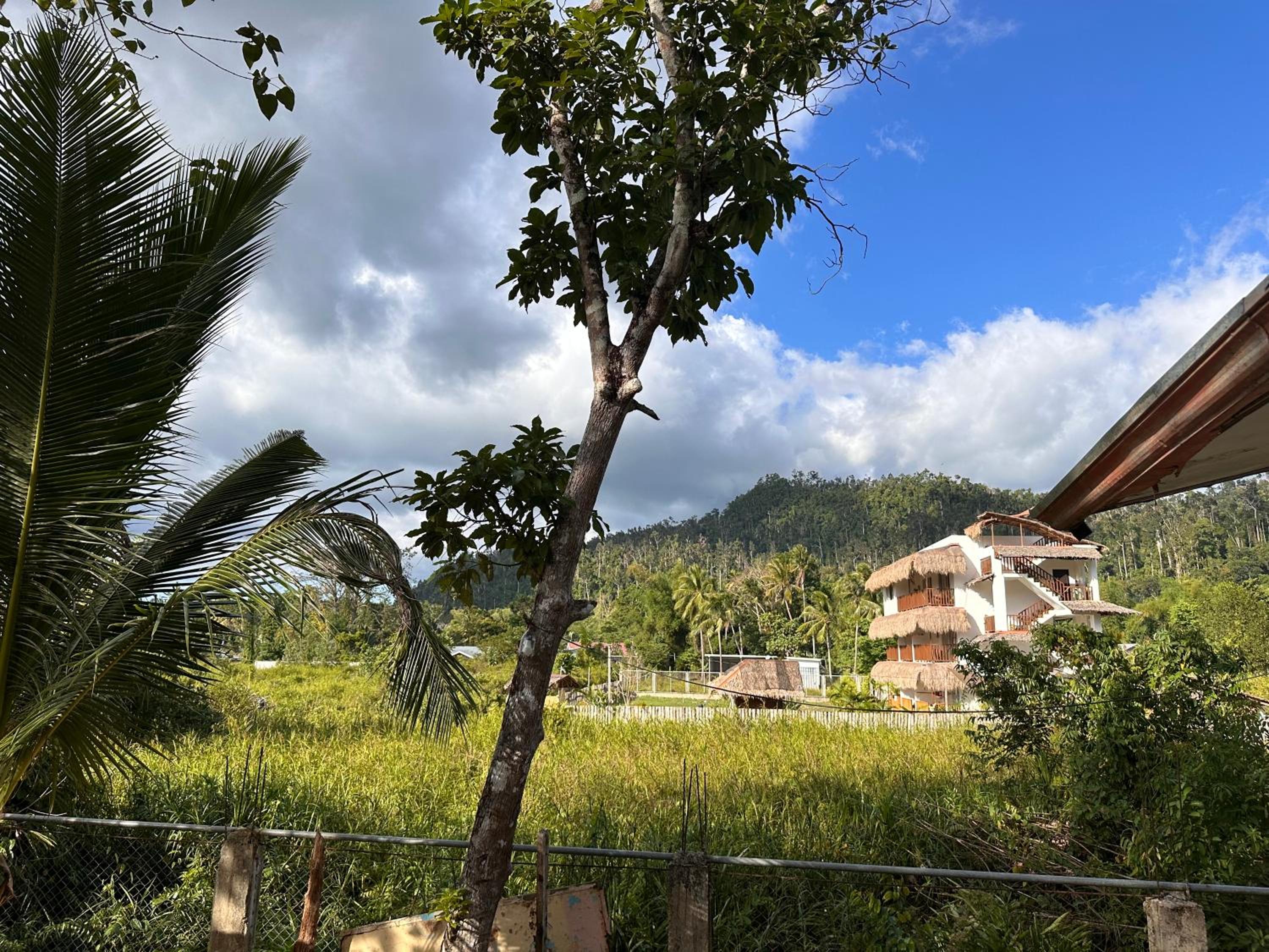 Private Shawn Guest House view 4