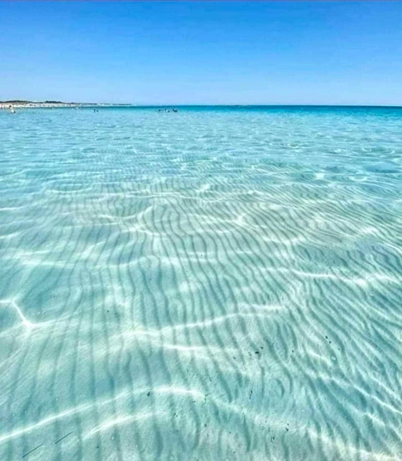 casetta nel salento view 4