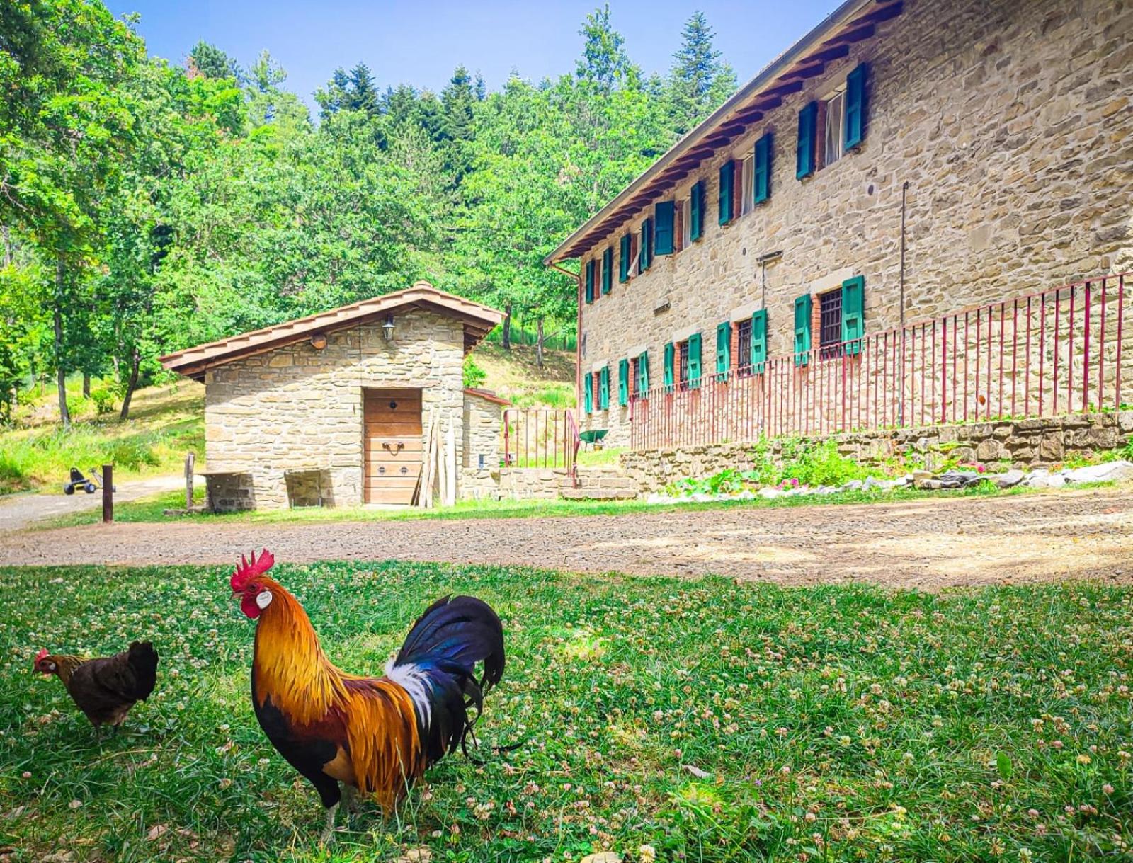 Baita Taverni view 5